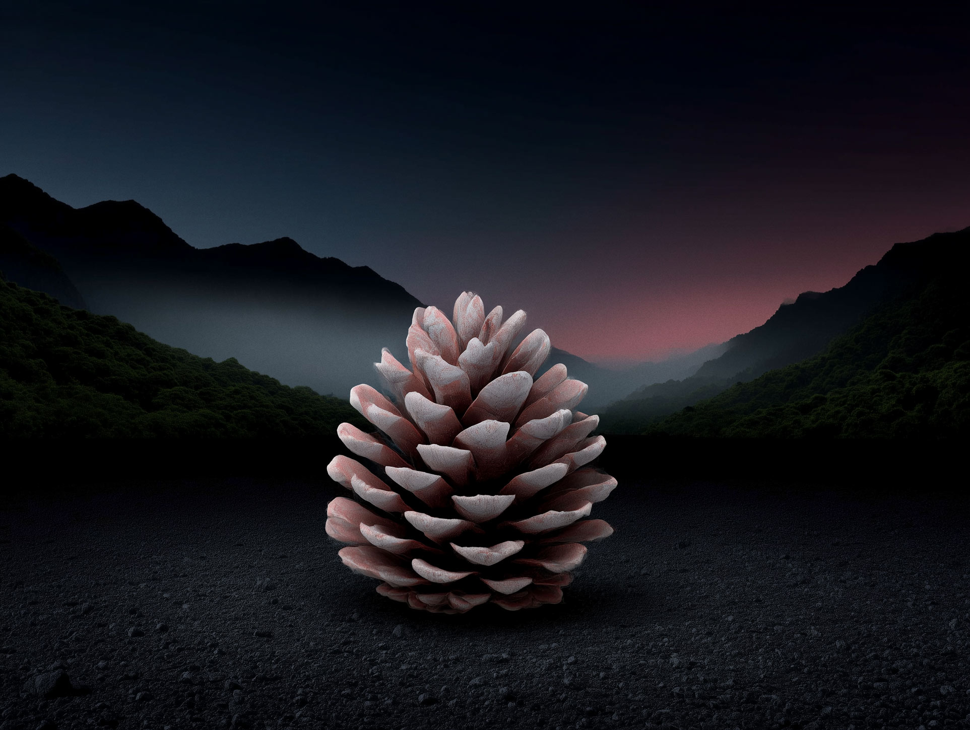 Solitary tree silhouetted on a hill against a vibrant sunset sky