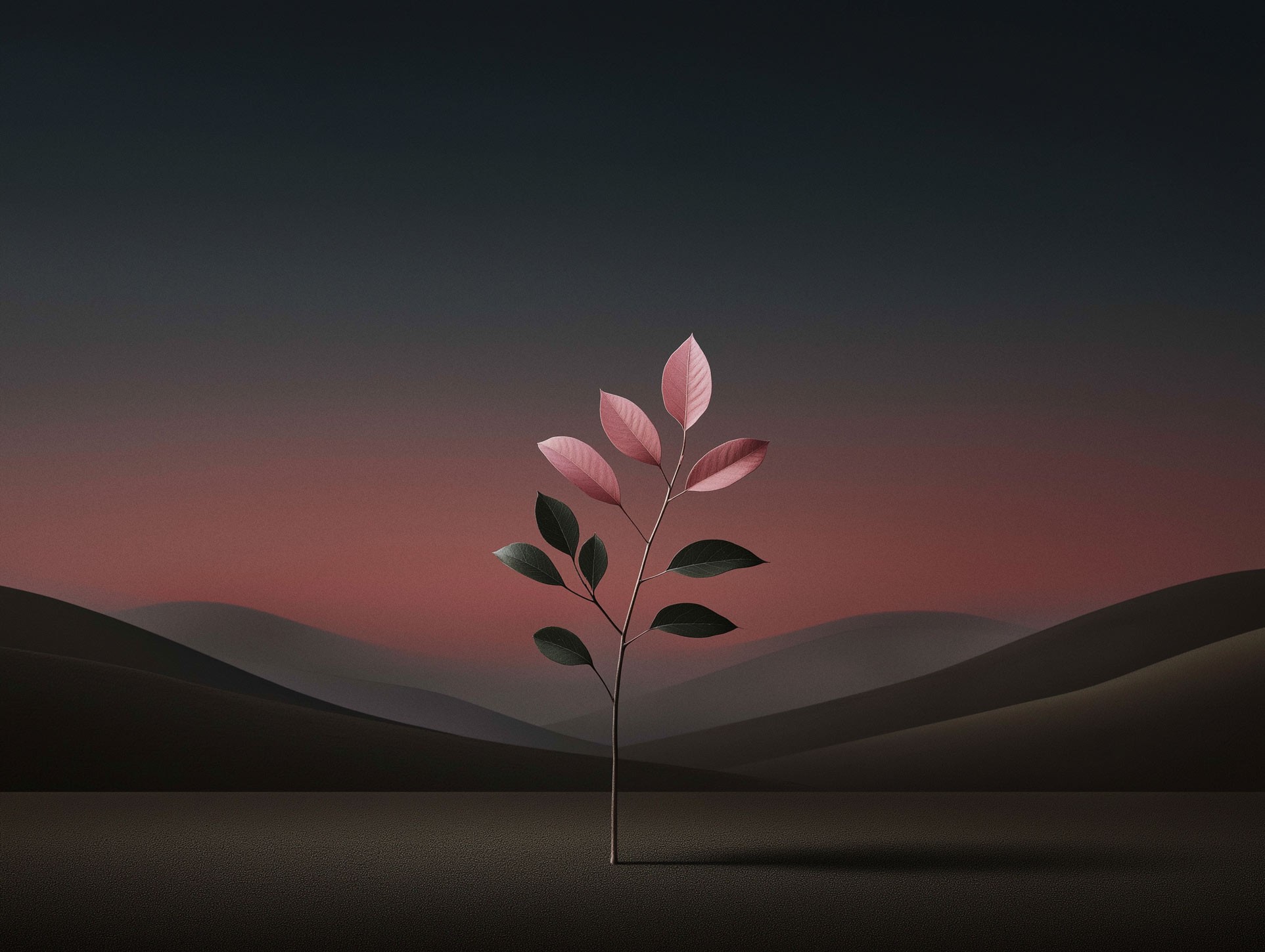 Hand holding a dried leaf or plant sprig against a mountain sunset